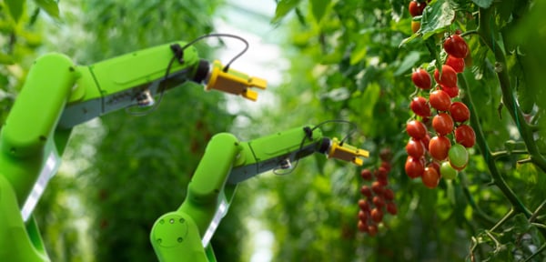 How AI can solve challenges for food and beverage manufacturers