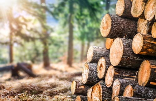 SAVE THE DATE 23.03.2023 Columbuse hommikuseminar: Kuidas kasvatada efektiivsust puidutööstuses?