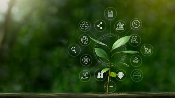 6 steps to accelerate your ESG data collection