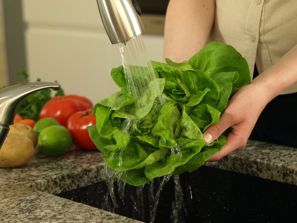 Food safety: Don't let the next E. coli outbreak happen in your lettuce field