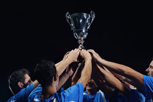 How to score with your ERP system. Goooooooaaal!