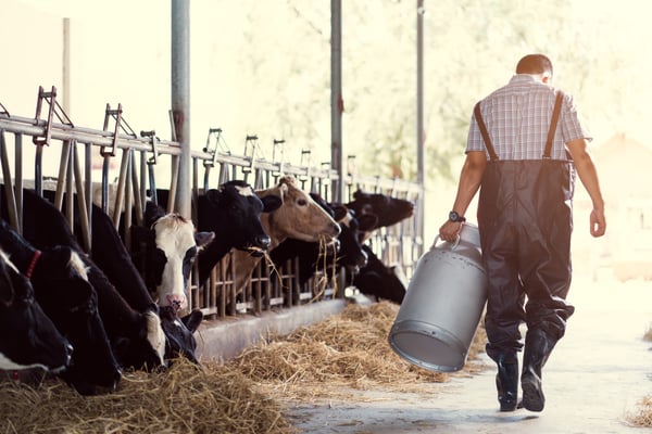 How dual units of measurement can help a dairy producer