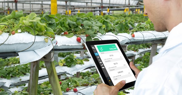 3 technologies shaping the future of the food industry