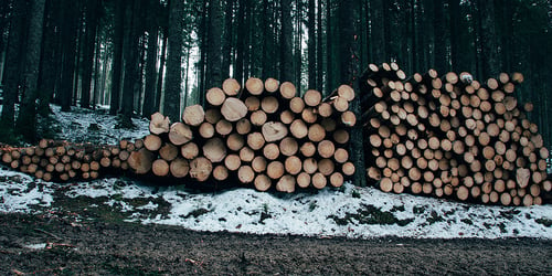 VEEBISEMINAR PUIDUTÖÖSTUSELE Milliseid võimalusi loob puidulahendus ColTimber?